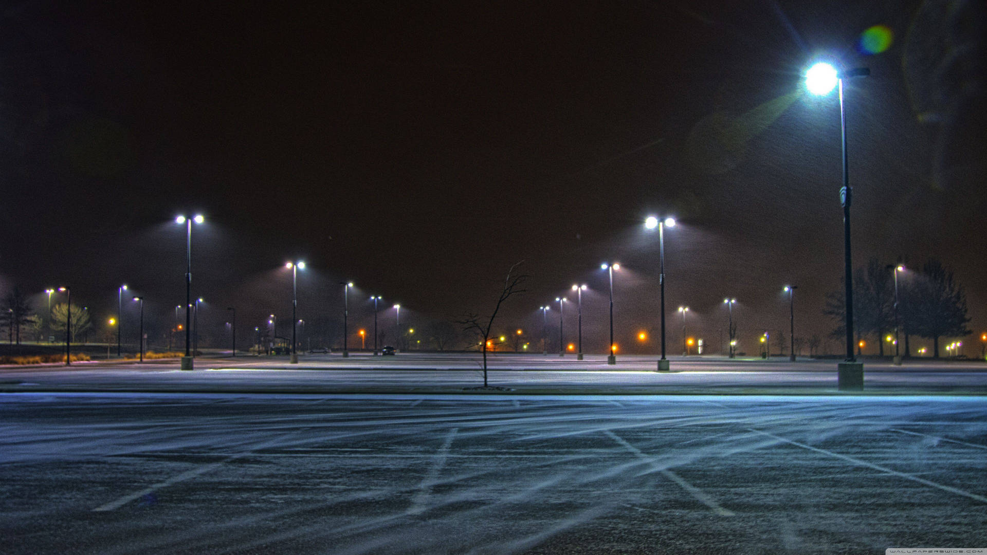 LED Shoebox Lights vs. LED Floodlights: Which is Best for Your Outdoor Project? - LITESGO