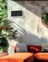 Orange sofa with gray cushions against a concrete wall with plants