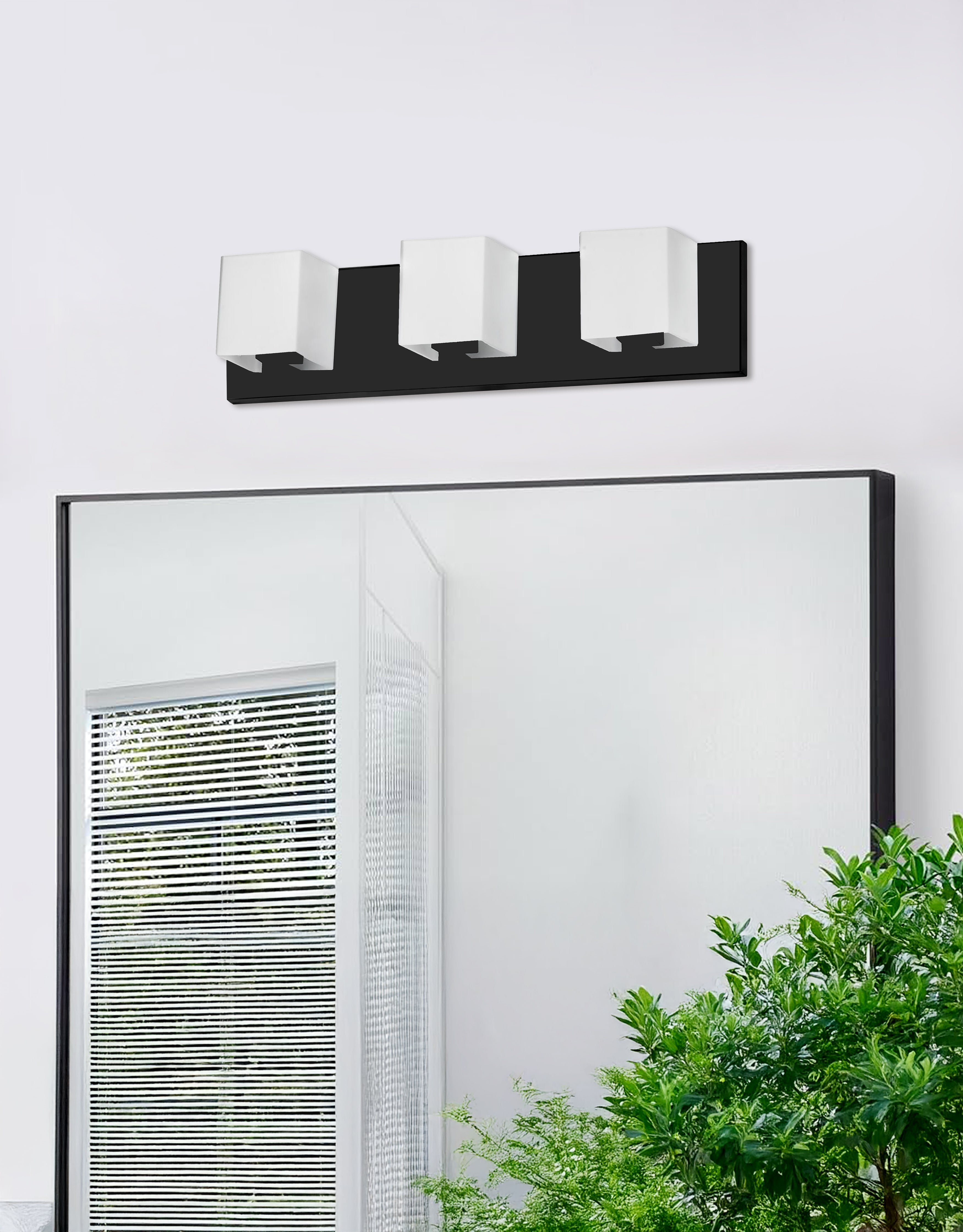 Modern wall light fixture above a mirror with a plant in the foreground