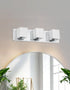 Modern wall-mounted light fixture above a round mirror with plants on either side.